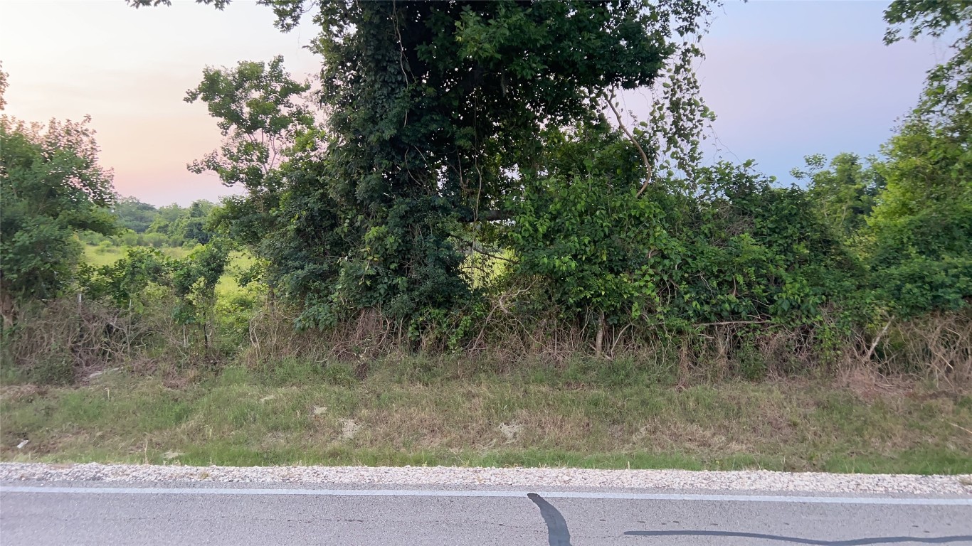 0 County Road 31 Angleton, TX 77515 - Photo 9 of 11