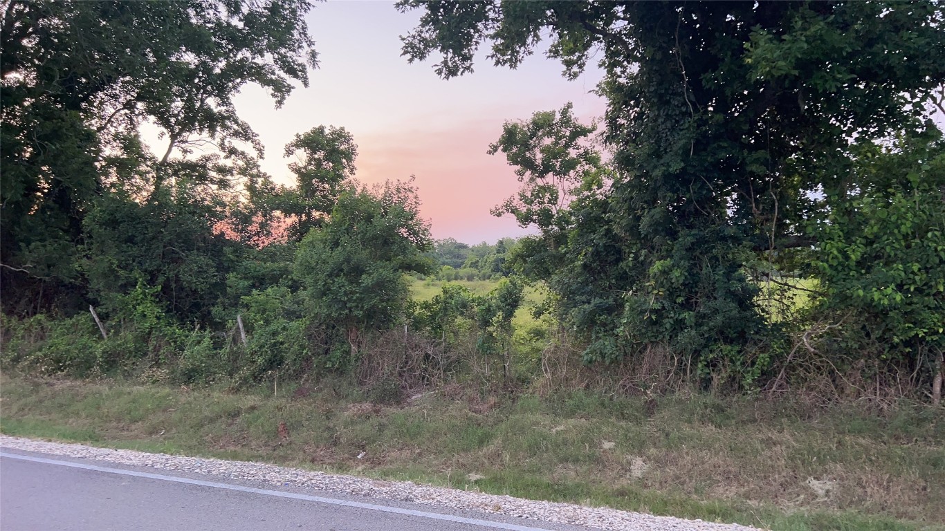 0 County Road 31 Angleton, TX 77515 - Photo 10 of 11