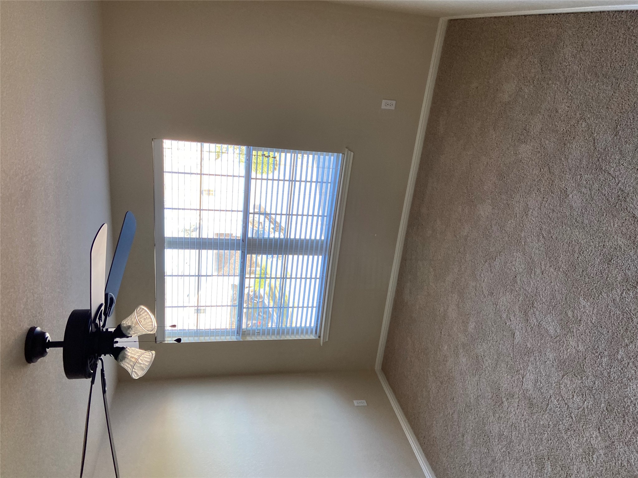 1501 Rimstone Drive Cedar Park, TX 78613 - Photo 16 of 20 Third upstairs bedroom with a ceiling fan, carpet, healthy amount of natural light, and a textured ceiling