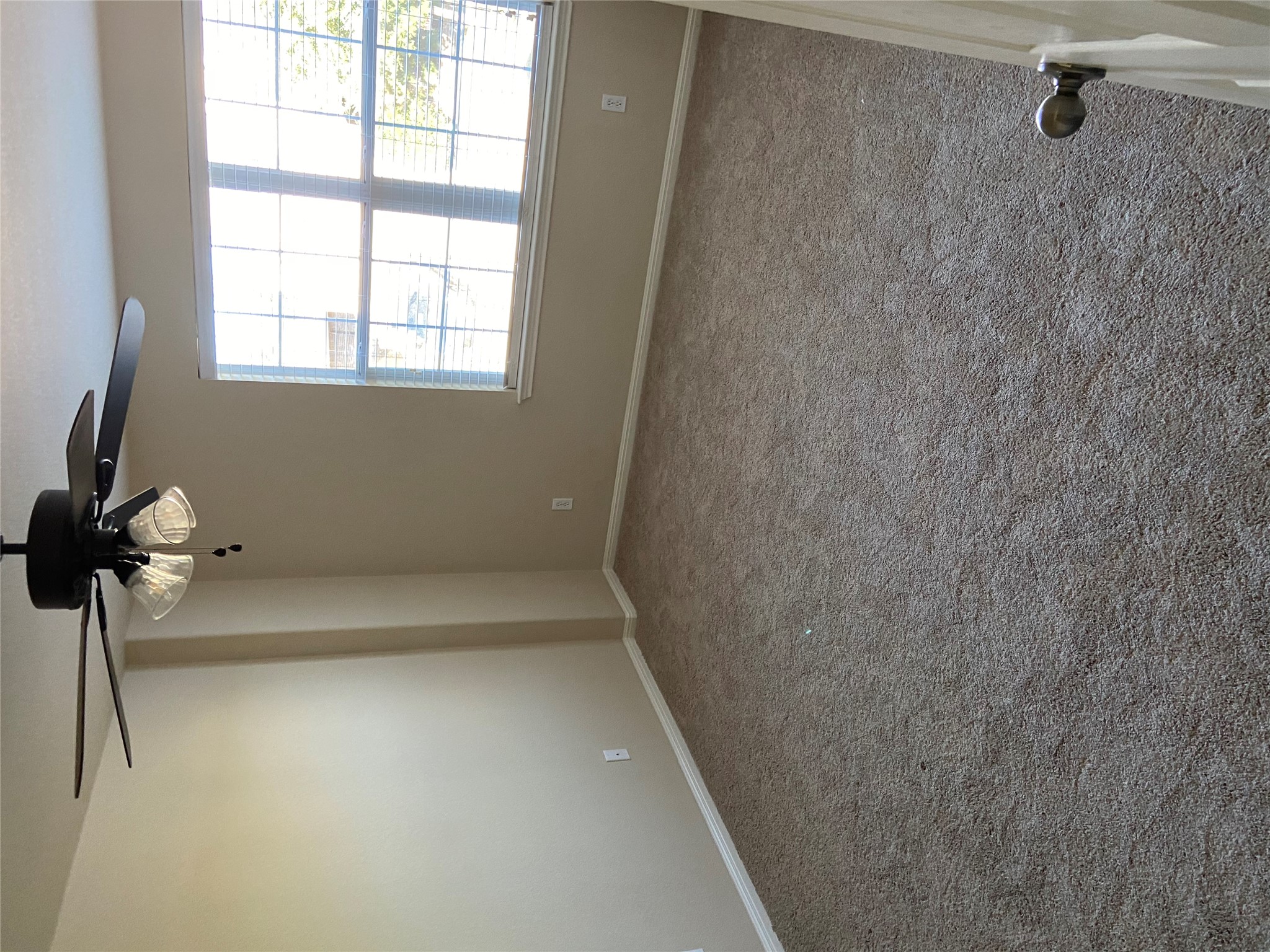 1501 Rimstone Drive Cedar Park, TX 78613 - Photo 17 of 20 Fourth upstairs bedroom with a ceiling fan and carpet