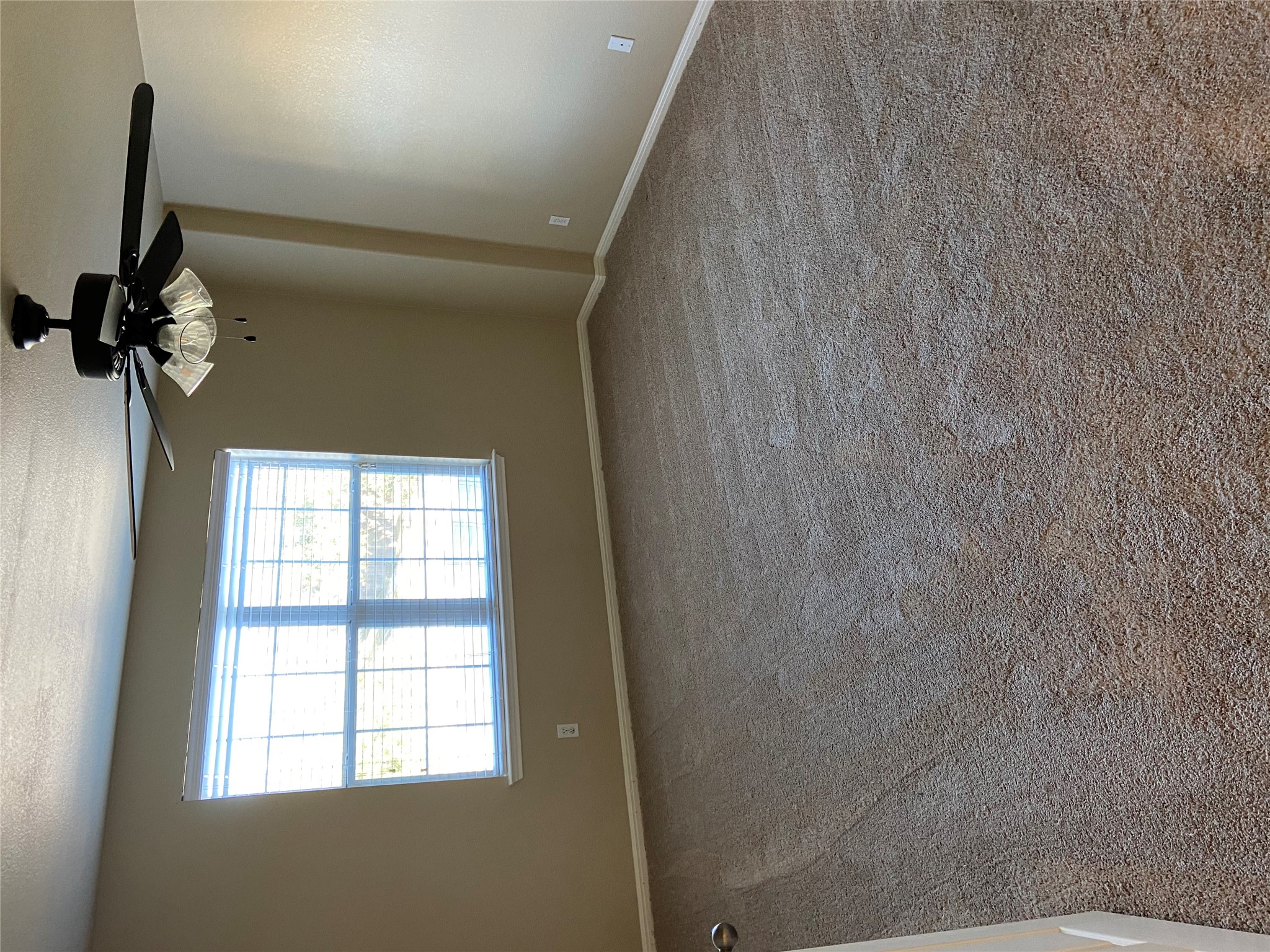 1501 Rimstone Drive Cedar Park, TX 78613 - Photo 18 of 20 Fifth upstairs bedroom with a ceiling fan and carpet