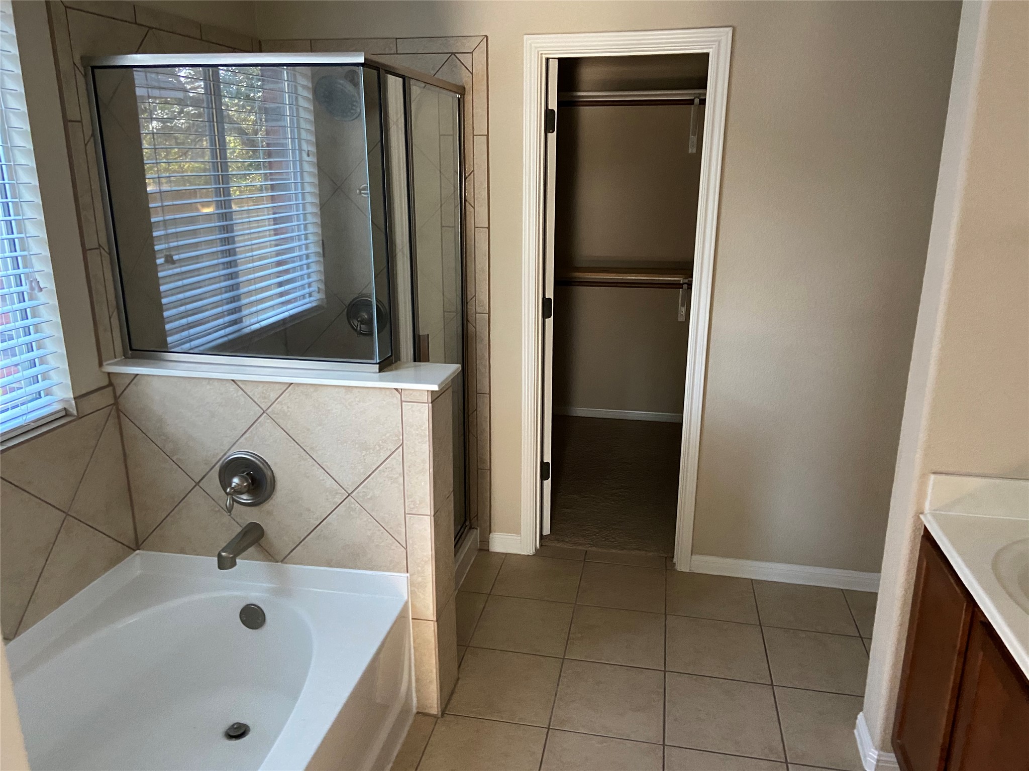 1501 Rimstone Drive Cedar Park, TX 78613 - Photo 10 of 20 Master bathroom with a bathtub, vanity, a walk in closet, a stall shower, and light tile patterned floors