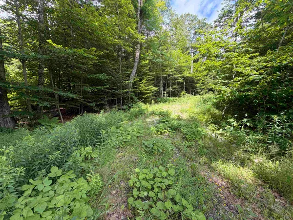 $135,000 | 0 Route 100 Dover Vt 05356, West Dover, VT 05356