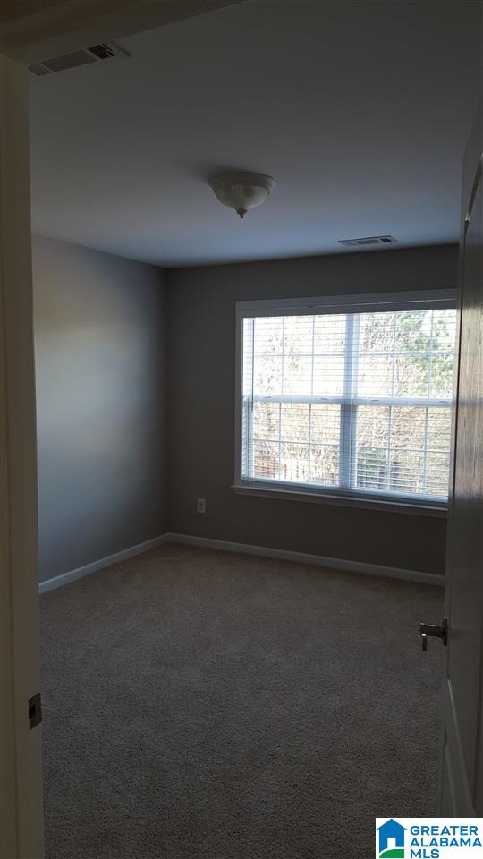 6301 Letson Farm Trail Bessemer, AL 35022 - Photo 5 of 18