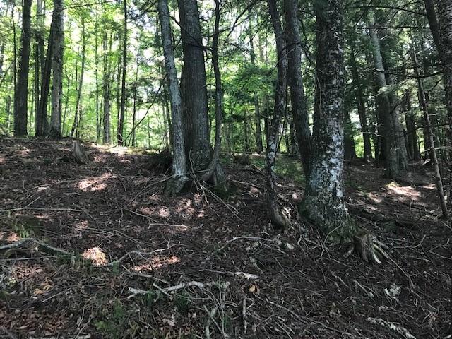 On Beatons Lake Road, Unit LOT 8 Watersmeet, MI 49969 - Photo 5 of 16 Gallery Image 5