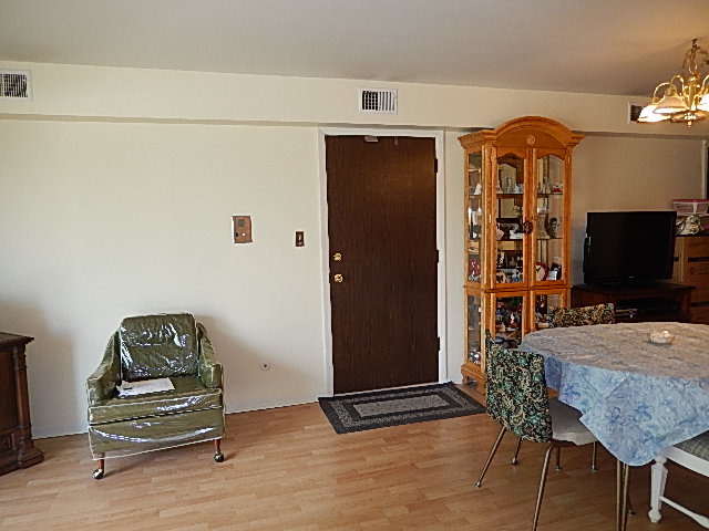 6045 103rd Street, Unit 1W Chicago Ridge, IL 60415 - Photo 5 of 19