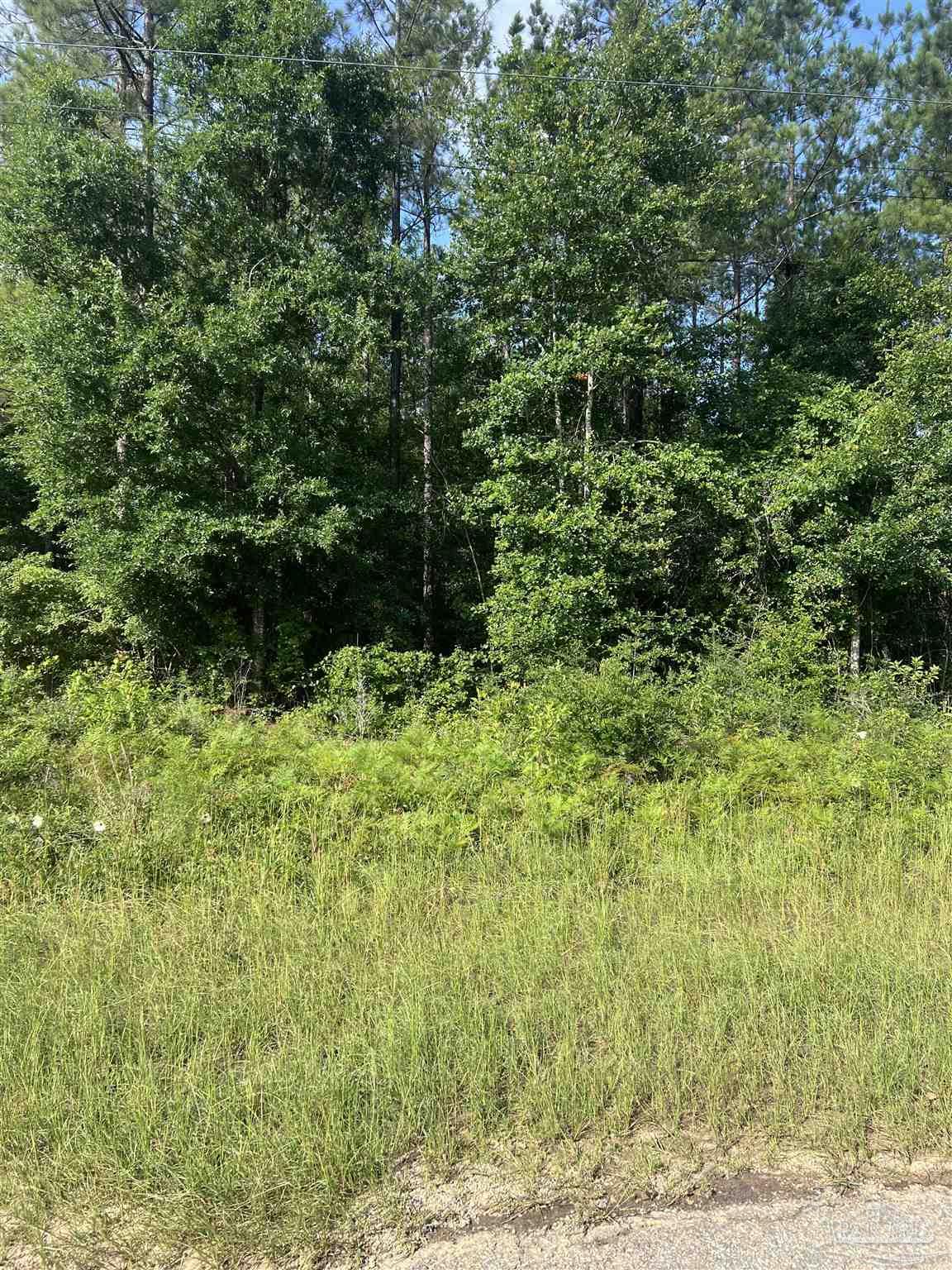 Lot 86 Pineview Church Road Jay, FL 32565 - Photo 1 of 6