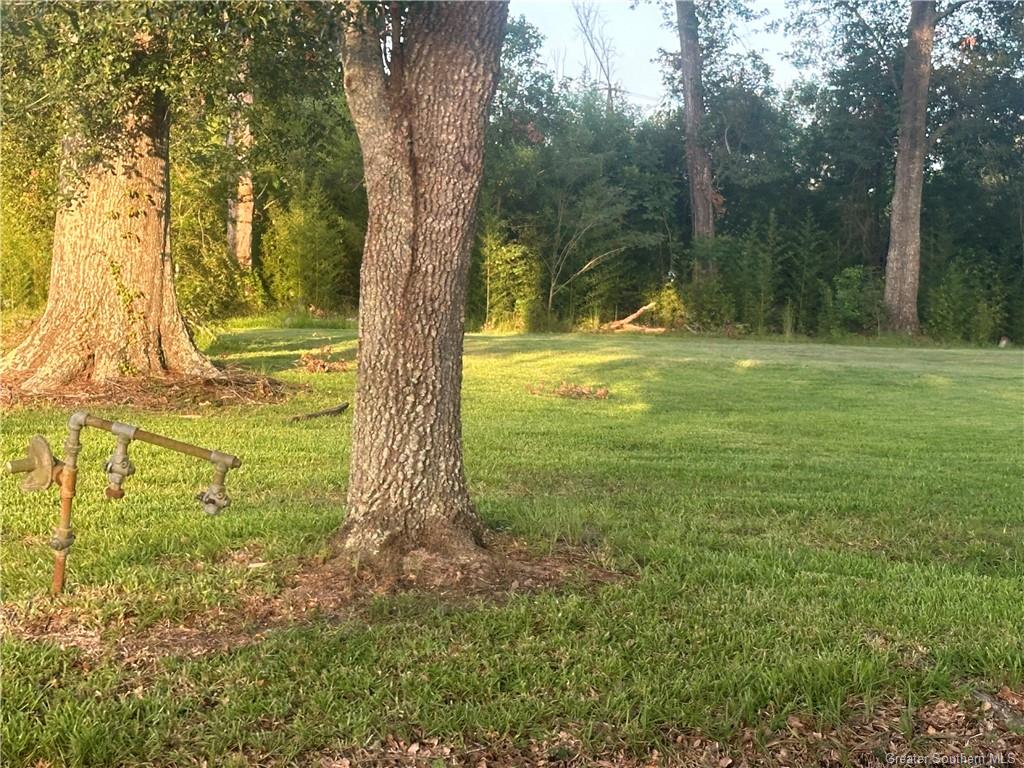 1 Louise Goode Road Dequincy, LA 70633 - Photo 2 of 2