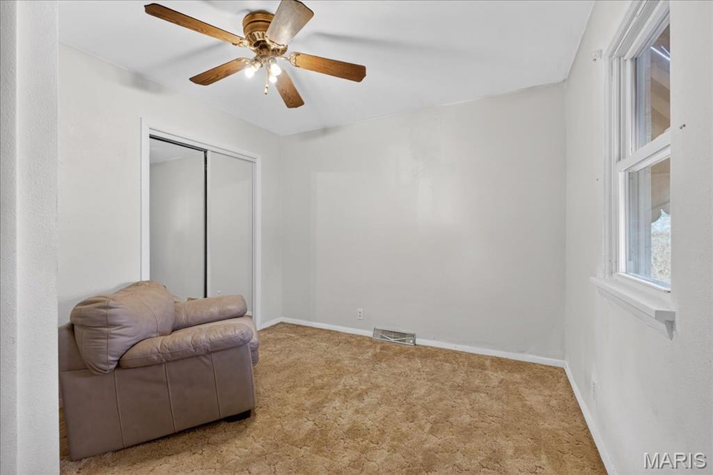 13 Sandridge Drive New Athens, IL 62264 - Photo 17 of 28