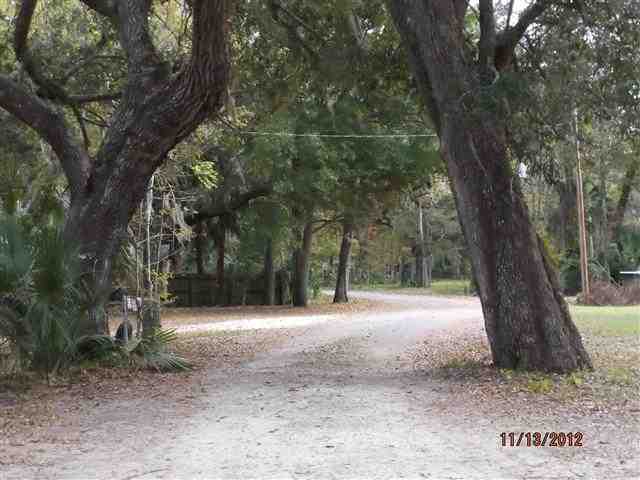 2390 Firehouse Road Lamont, FL 32336 - Photo 5 of 14 Gallery Image 5