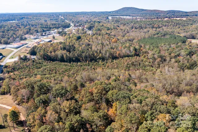 an aerial view of mountain with trees around
