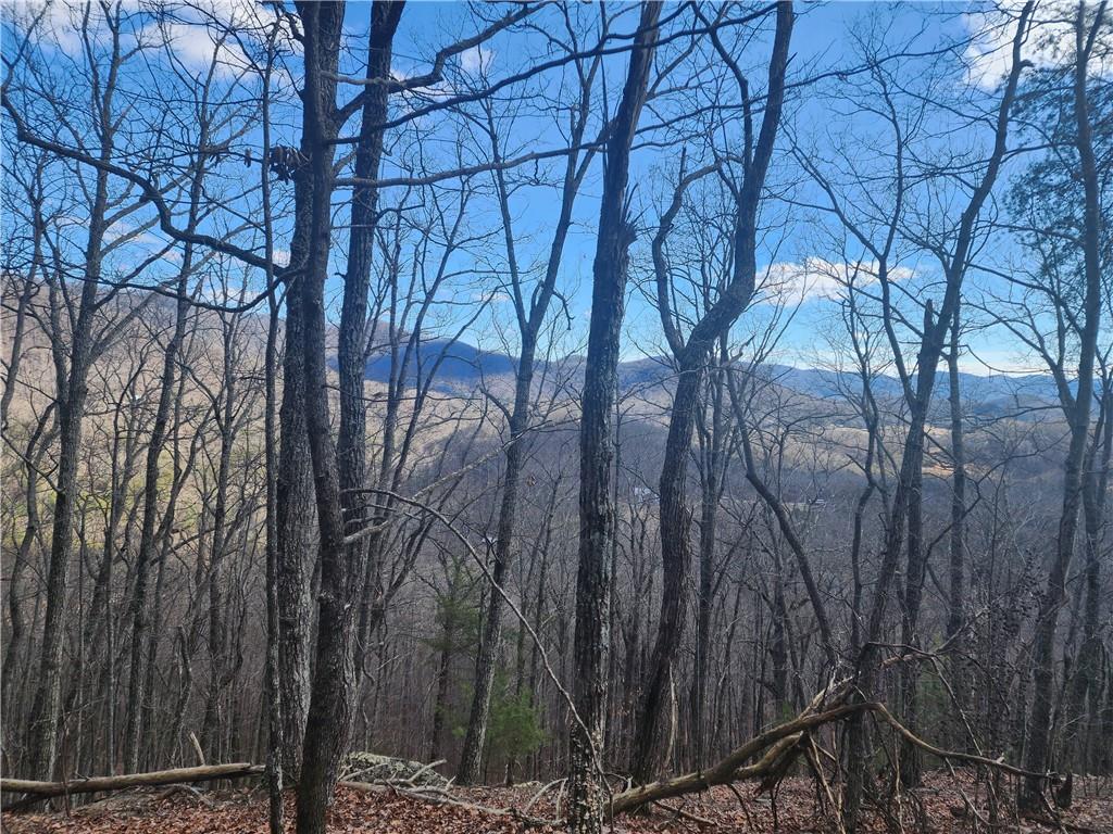 0 Trackrock Gap Road Blairsville, GA 30512 - Photo 2 of 7
