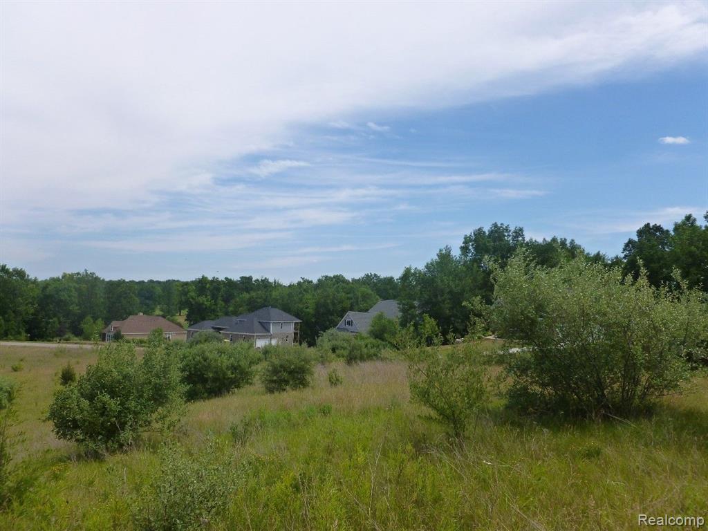 0 Palmers Way Fenton, MI 48430 - Photo 12 of 25