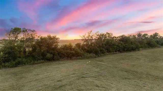 a view of a field with a tree