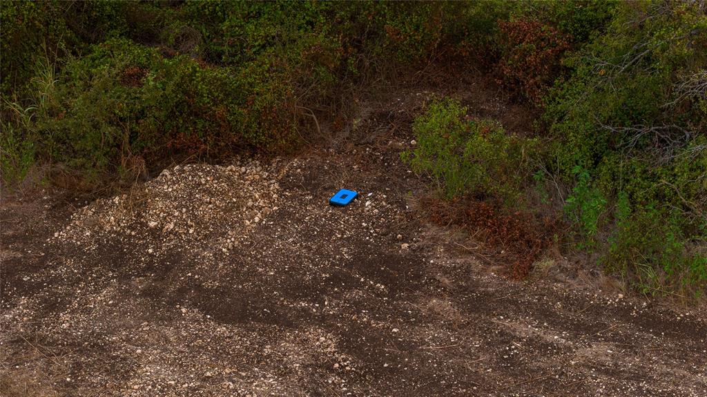 8153 Prairie Chapel Road Crawford, TX 76638 - Photo 30 of 32 a view of outdoor space and tree
