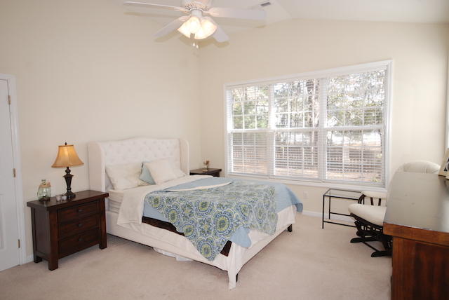 9353 Ayscough Road Summerville, SC 29485 - Photo 17 of 33 DSC_4151