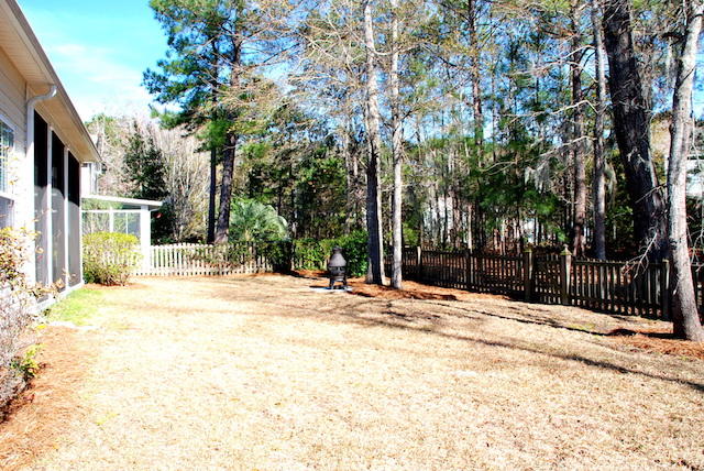 9353 Ayscough Road Summerville, SC 29485 - Photo 27 of 33 DSC_4128