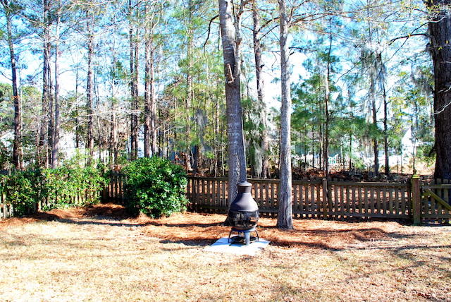 9353 Ayscough Road Summerville, SC 29485 - Photo 28 of 33 DSC_4134