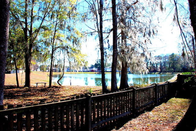 9353 Ayscough Road Summerville, SC 29485 - Photo 29 of 33 DSC_4129