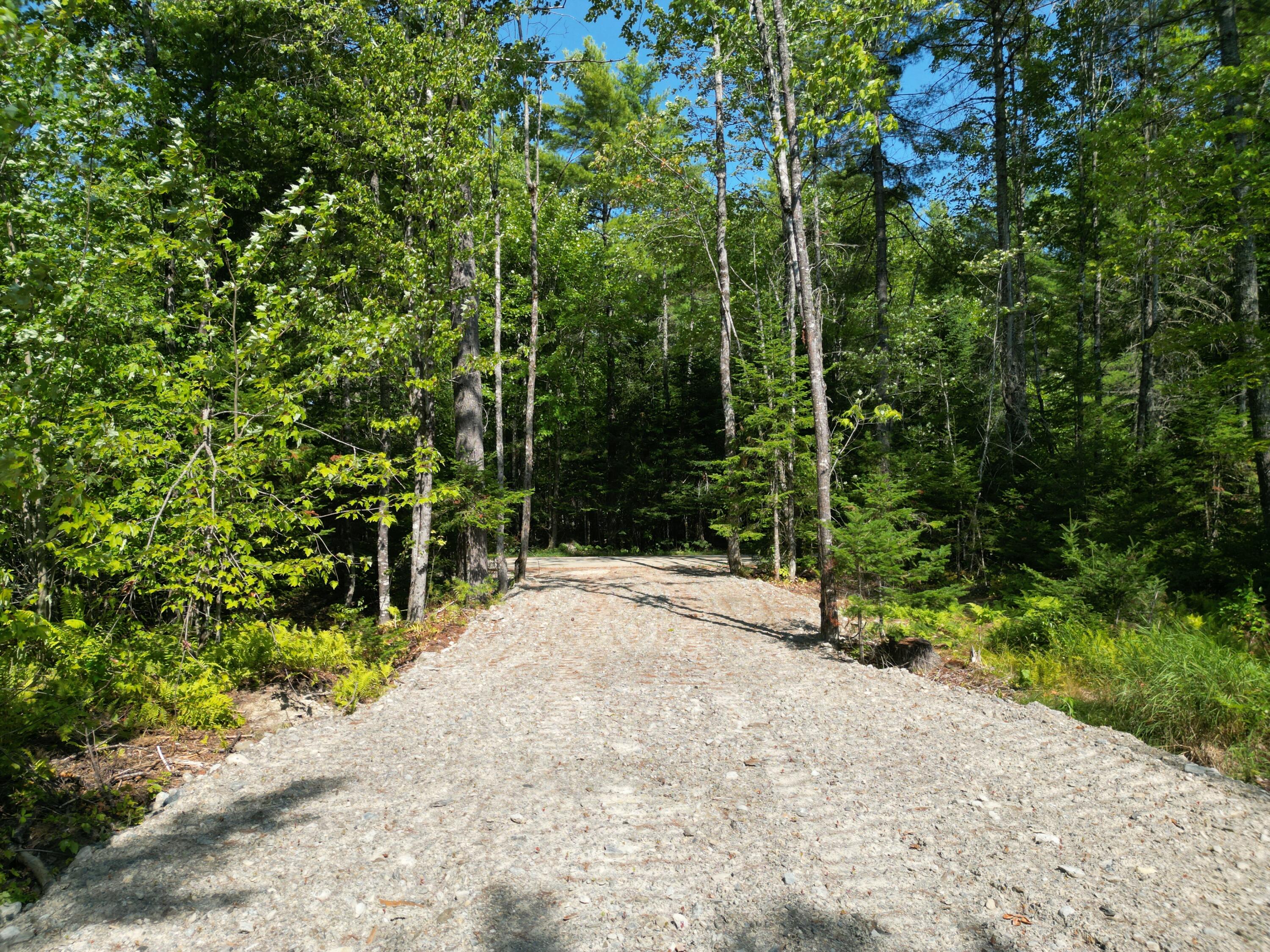 Lot 4 Fogg Brook Road Lowell, ME 04493 - Photo 9 of 14 DJI_0348