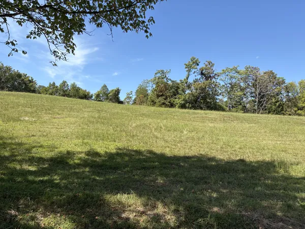 a view of an ocean from a yard
