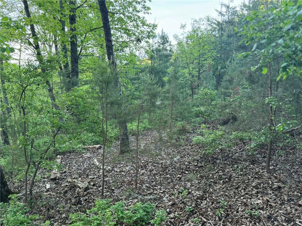 1181 Jewel Court Northeast Ranger, GA 30734 - Photo 1 of 18 a view of a forest with trees