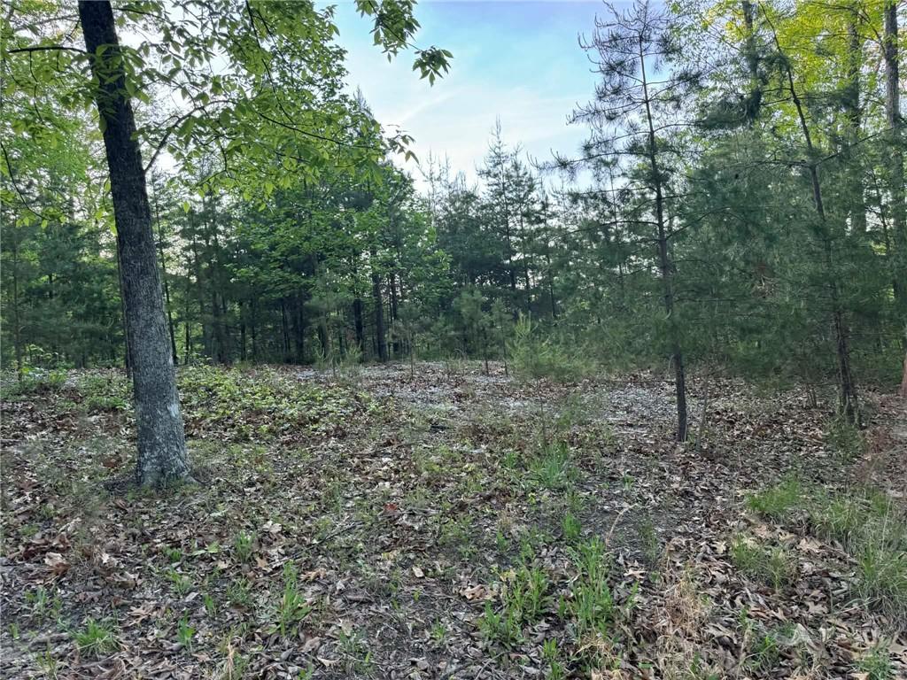 1181 Jewel Court Northeast Ranger, GA 30734 - Photo 2 of 18 a view of a forest with trees in the background