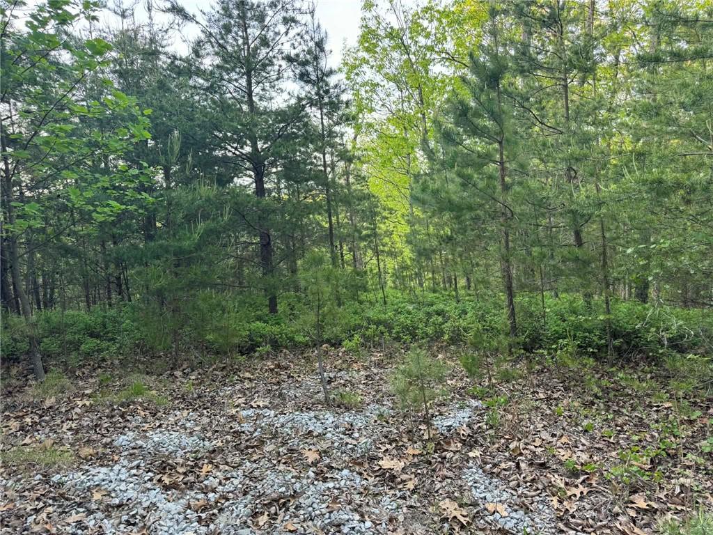 1181 Jewel Court Northeast Ranger, GA 30734 - Photo 4 of 18 a view of a forest with trees in the background