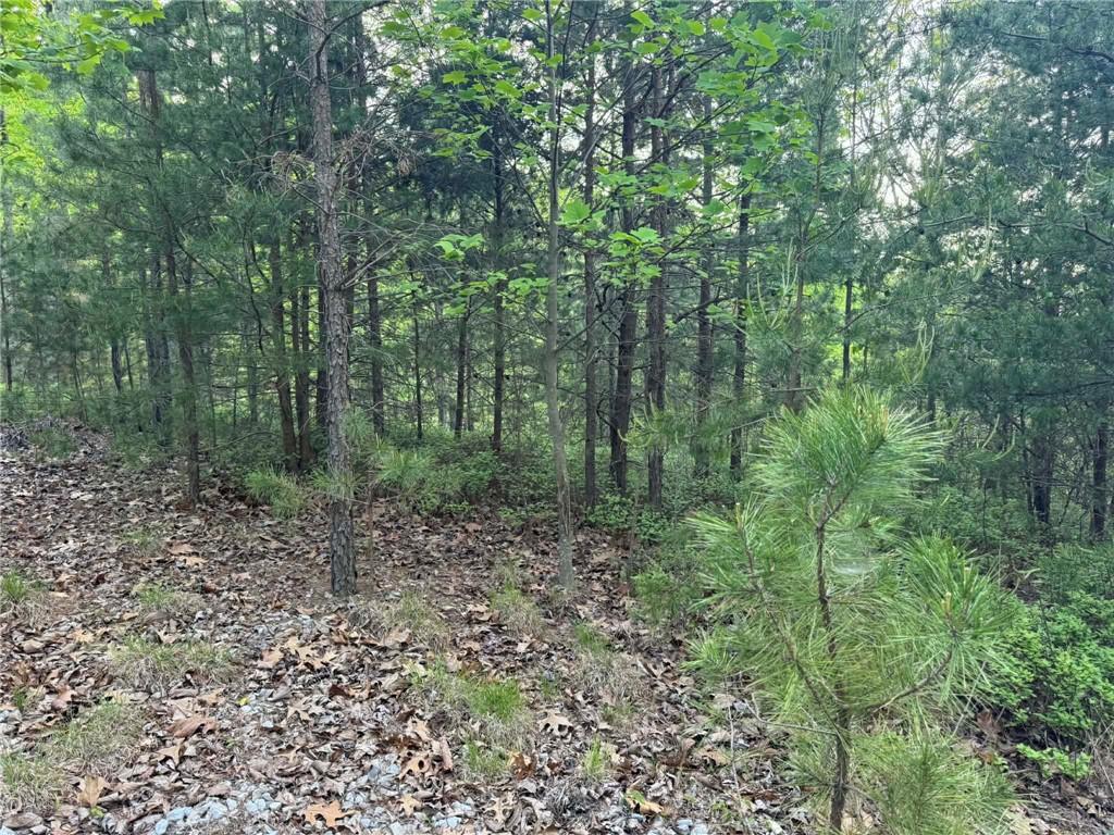 1181 Jewel Court Northeast Ranger, GA 30734 - Photo 7 of 18 a view of a forest with trees in the background