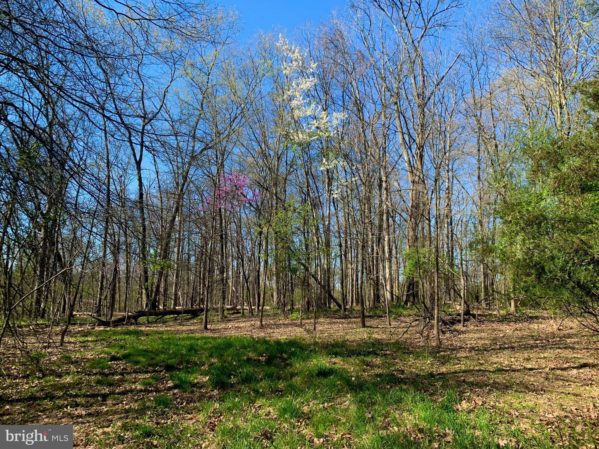 Lot 6 Swetland Road Gettysburg, PA 17325 - Photo 3 of 17