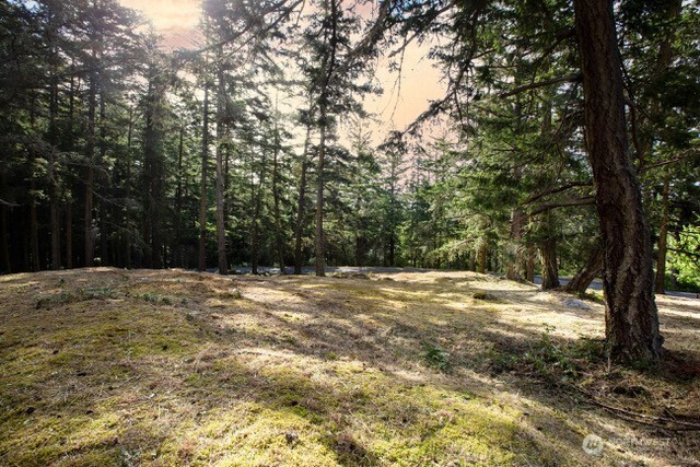24 Mossyrock Road Friday Harbor, WA 98250 - Photo 5 of 31