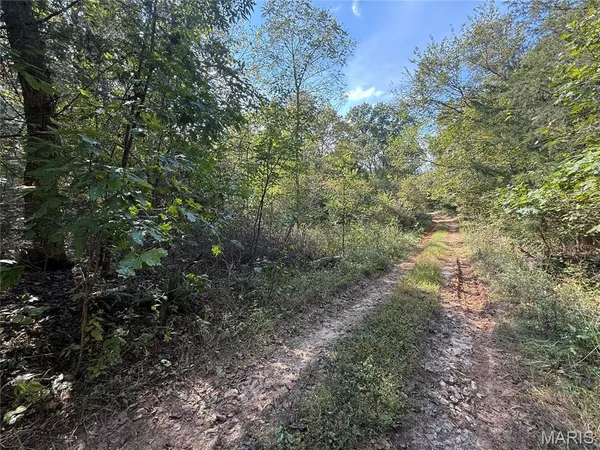 $39,900 | 19450 Private Drive, Beulah, MO 65436