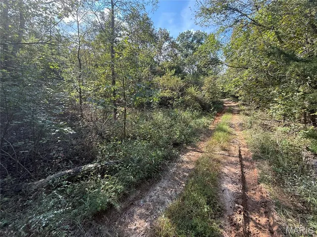 $39,900 | 19450 Private Drive, Beulah, MO 65436