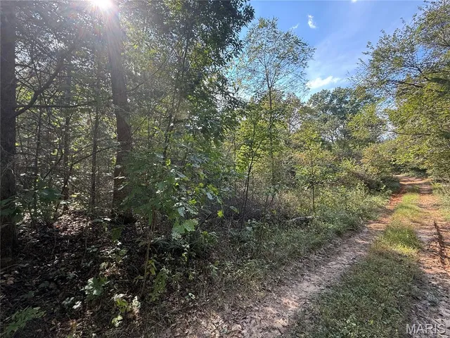 $39,900 | 19450 Private Drive, Beulah, MO 65436