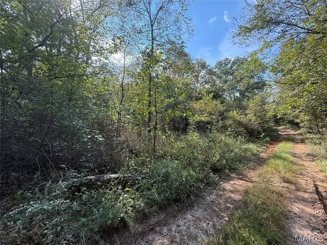 $39,900 | 19450 Private Drive, Beulah, MO 65436