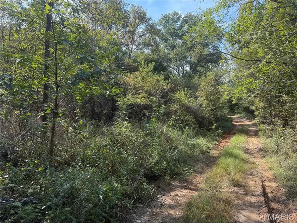$39,900 | 19450 Private Drive, Beulah, MO 65436