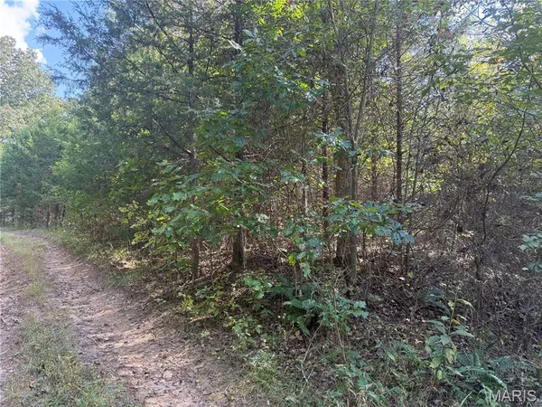 $39,900 | 19450 Private Drive, Beulah, MO 65436