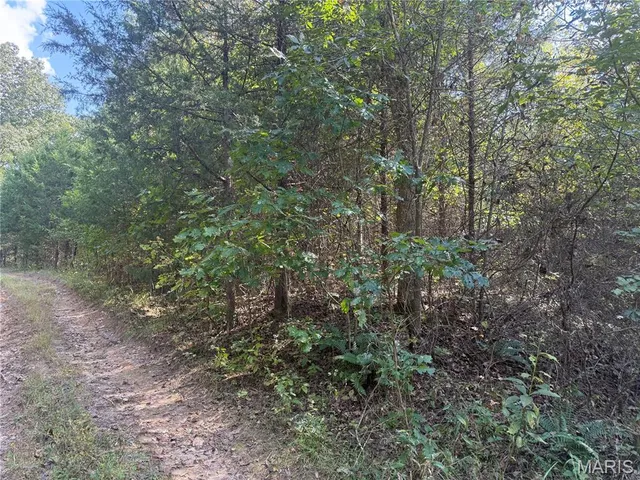 $39,900 | 19450 Private Drive, Beulah, MO 65436