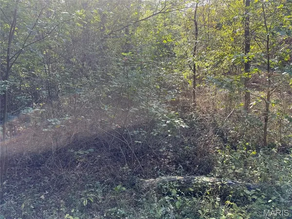 $39,900 | 19450 Private Drive, Beulah, MO 65436