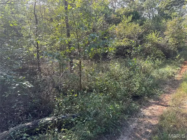 $39,900 | 19450 Private Drive, Beulah, MO 65436