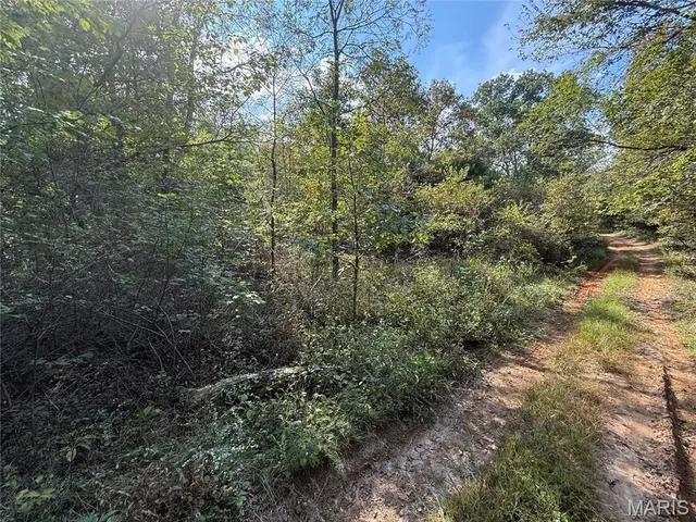 $39,900 | 19450 Private Drive, Beulah, MO 65436