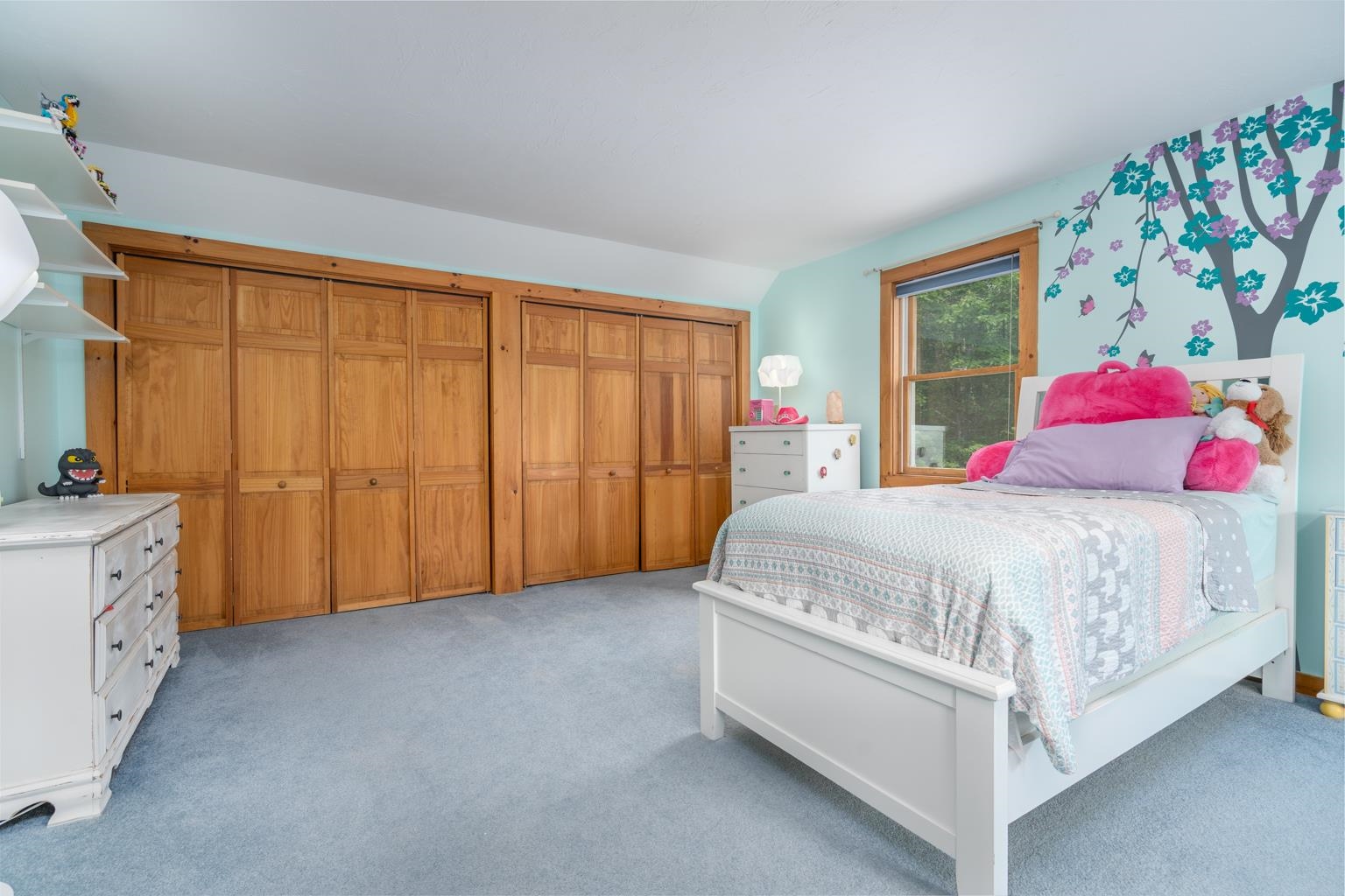 112 Wild Goose Pond Road Strafford, NH 03884 - Photo 23 of 53