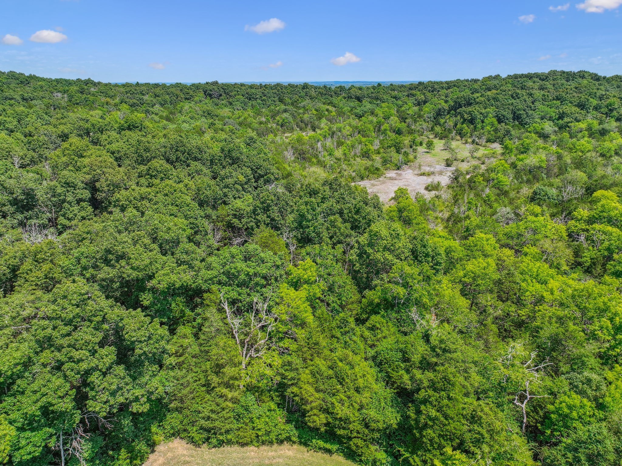 2770 Bristow Road Columbia, TN 38401 - Photo 66 of 70 Gallery Image 66