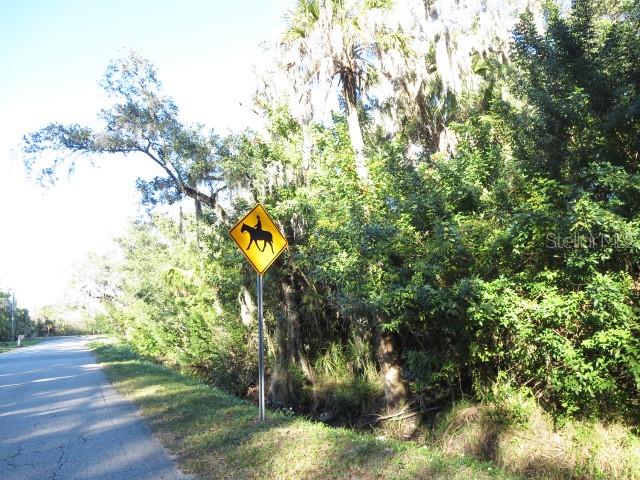 370 Race Track Road South Oldsmar, FL 34677 - Photo 33 of 33 One of several signs for horse crossing.