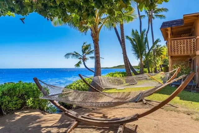 a view of a backyard with plants and swimming pool