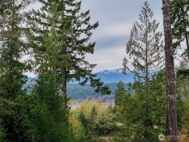 a view of a lake in between two trees
