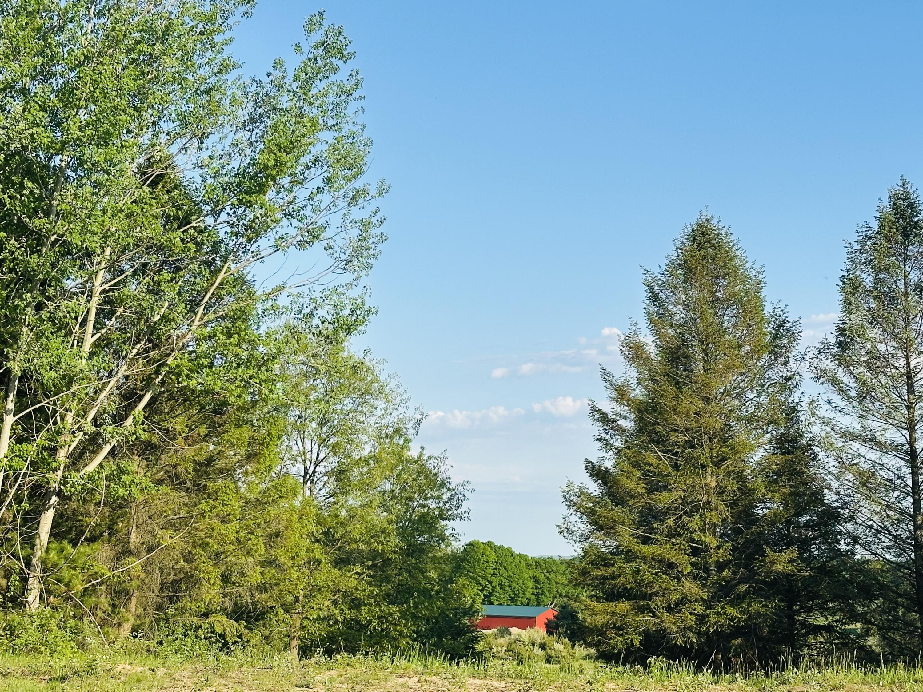 5372 Milarch Road Manistee, MI 49660 - Photo 15 of 41 An elevated place to build!