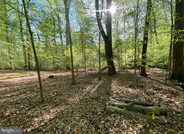 a view of outdoor space with trees