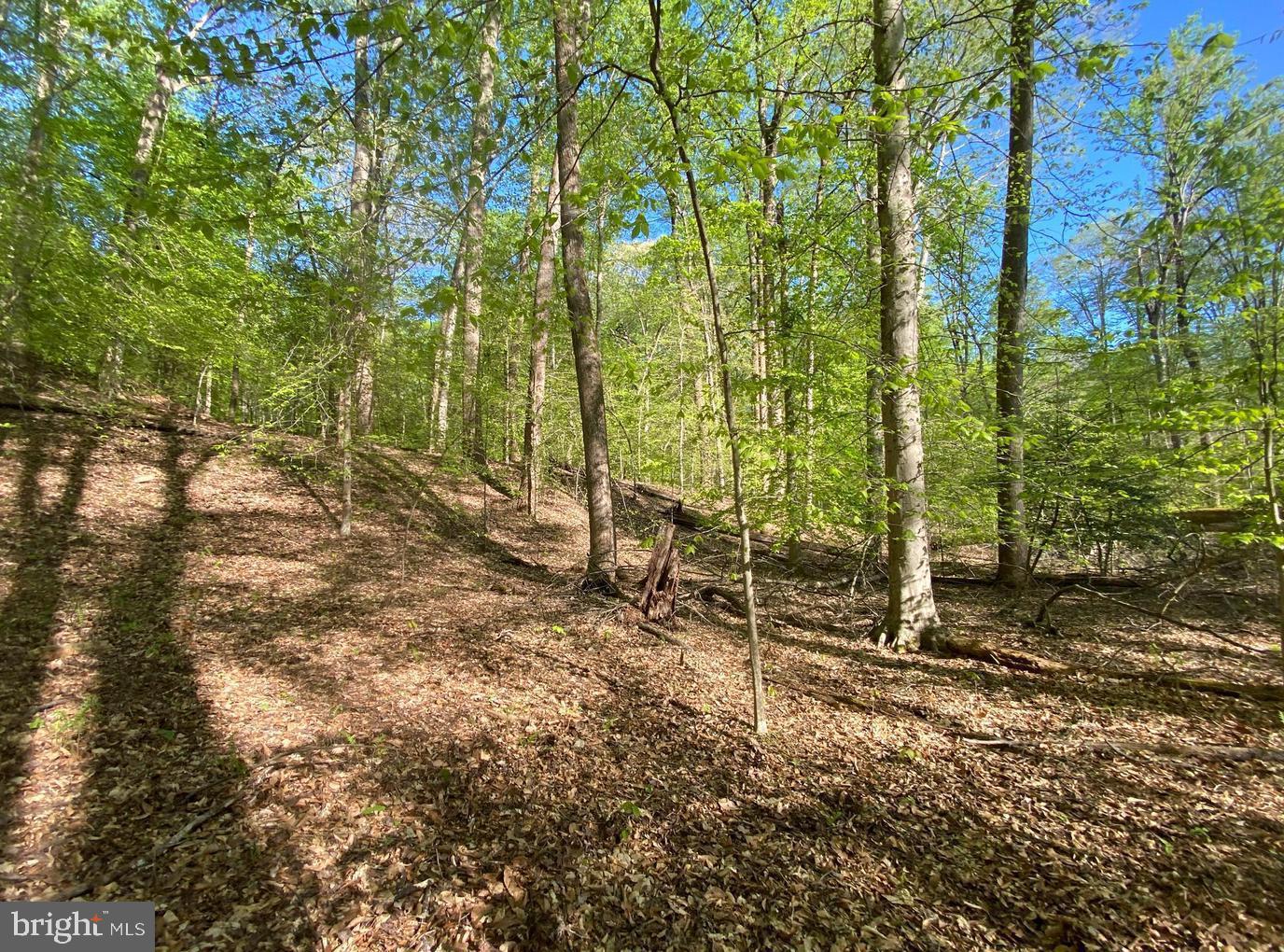 Hidden Valley Road Accokeek, MD 20607 - Photo 11 of 23