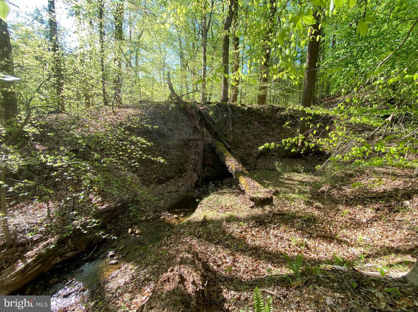 Hidden Valley Road Accokeek, MD 20607 - Photo 12 of 23 a view of a forest with trees